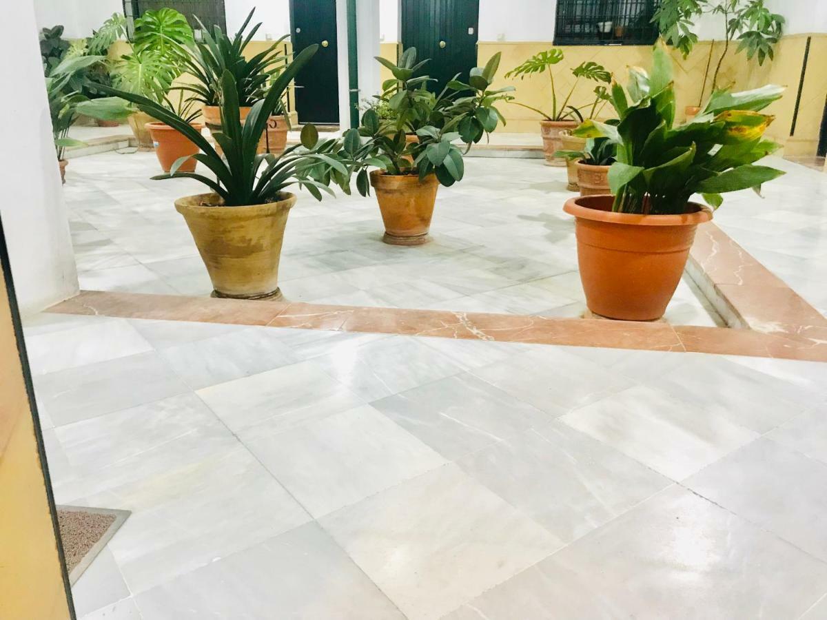 Apartamento Patios De La Juderia *